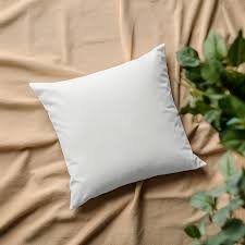 Organic Cushion Cover
